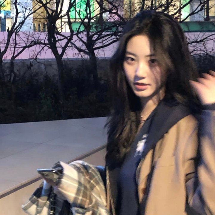 大象林旺之一炮成名