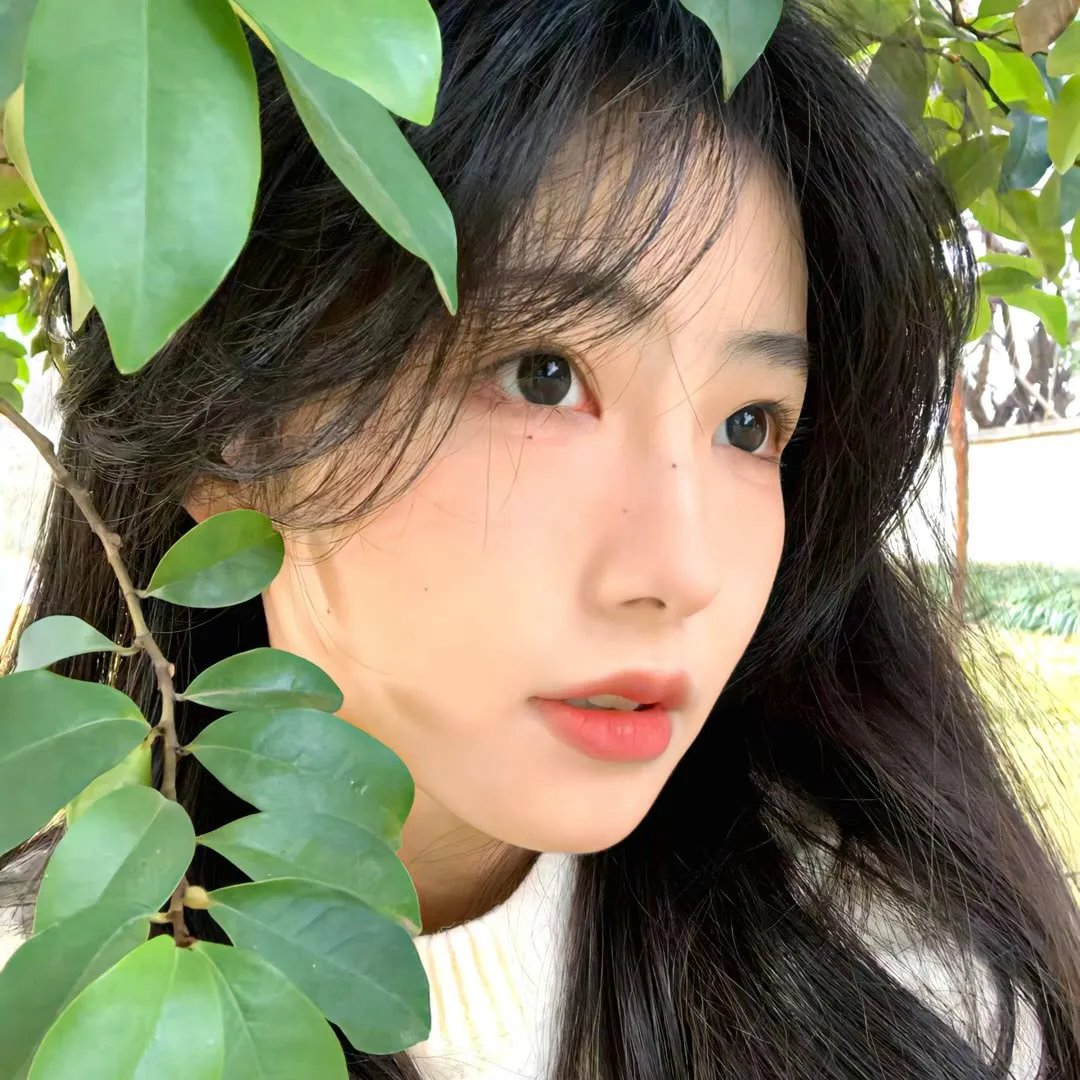 恋爱冒险